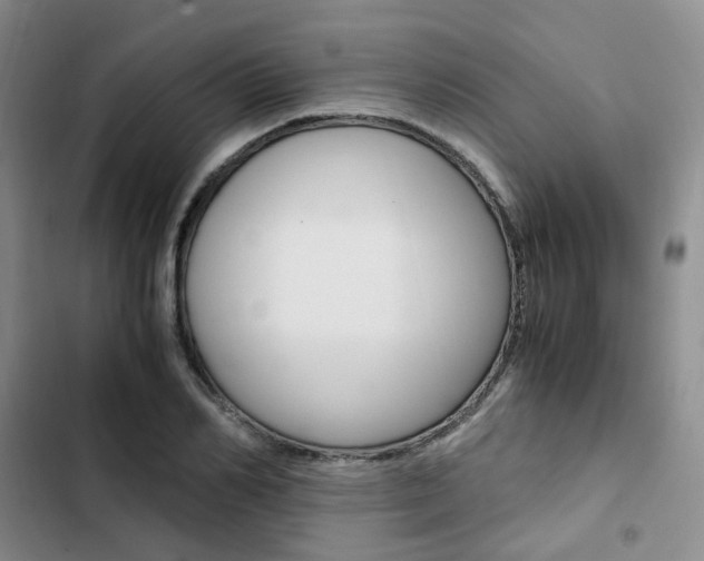 X0000103160982200808221148