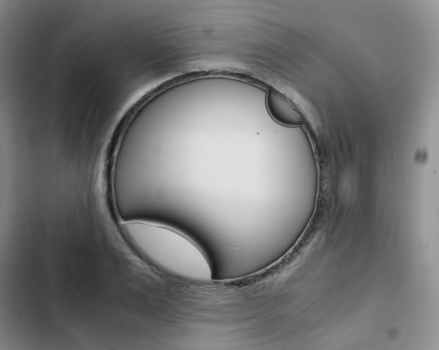 X0000103160983200808221148