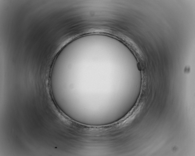X0000103160985200808221147