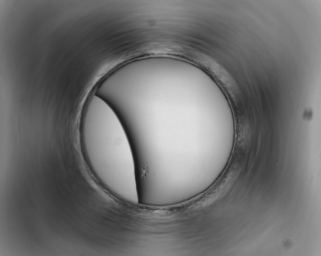 X0000103160986200808221147