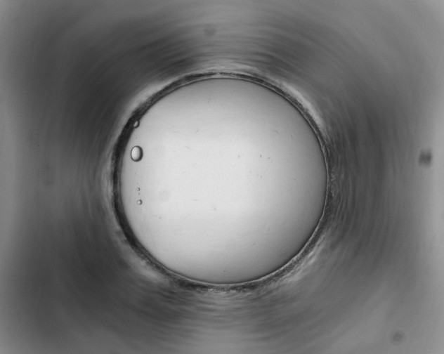 X0000103160987200808221147
