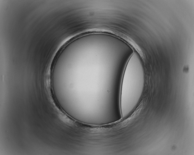 X0000103160988200808221147
