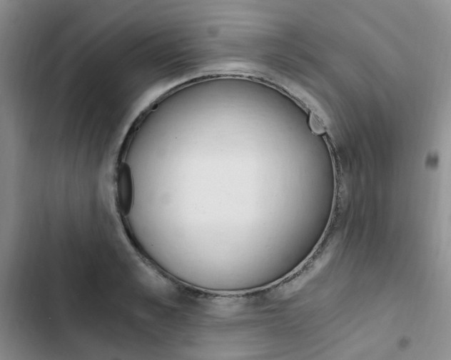 X0000103160989200808221147