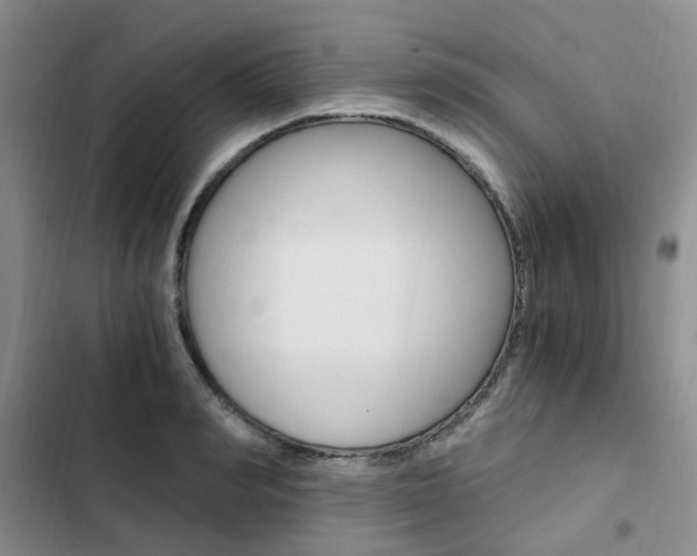 X0000103160990200808221147
