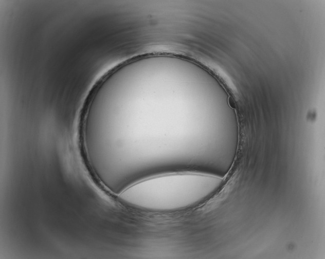X0000103160991200808221147