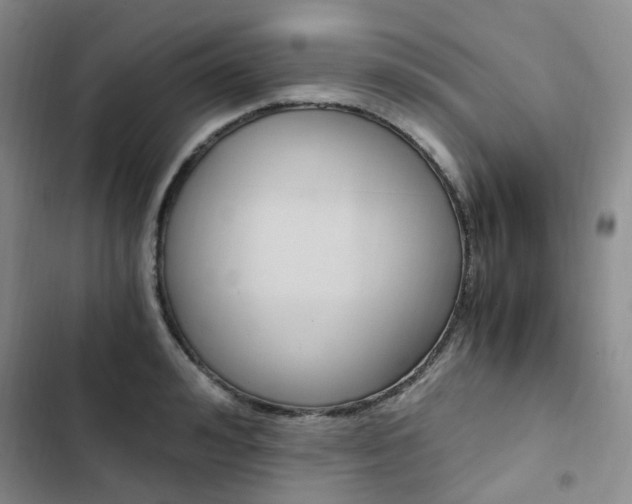 X0000103160992200808221147