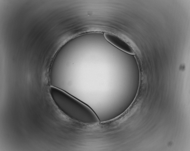 X0000103160993200808221147