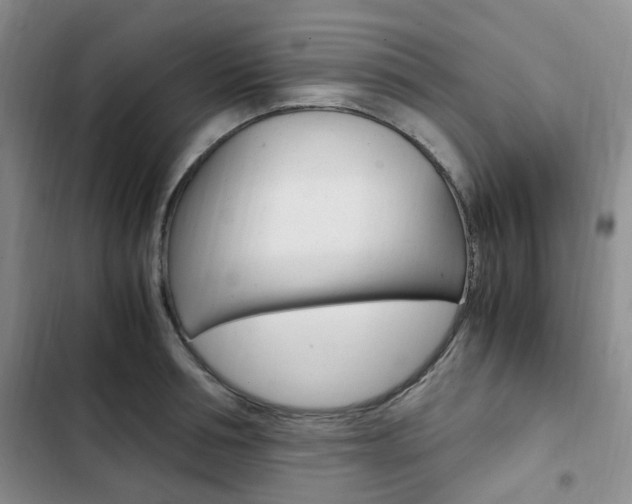 X0000103160994200808221147