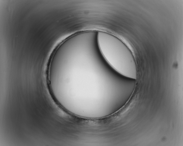 X0000103160995200808221147