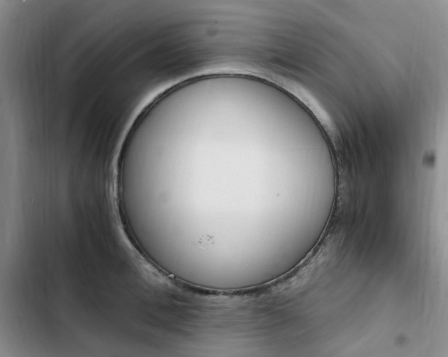 X0000103160996200808221147