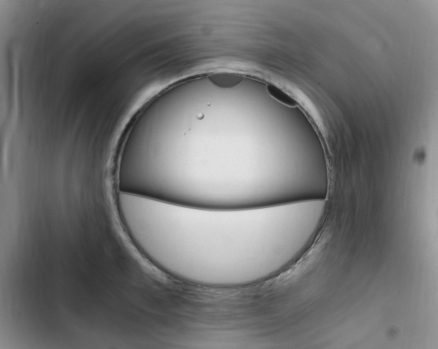 X0000103160997200808221147