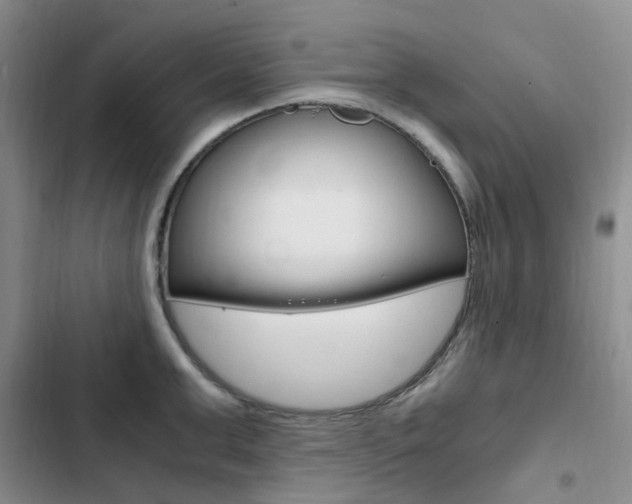 X0000103160999200808221147