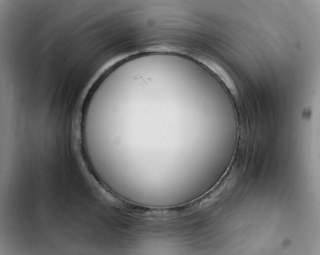 X0000103161000200808221147