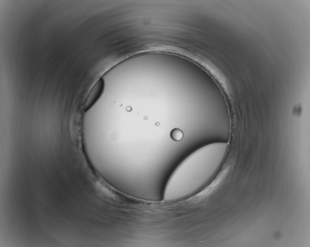 X0000103161001200808221147