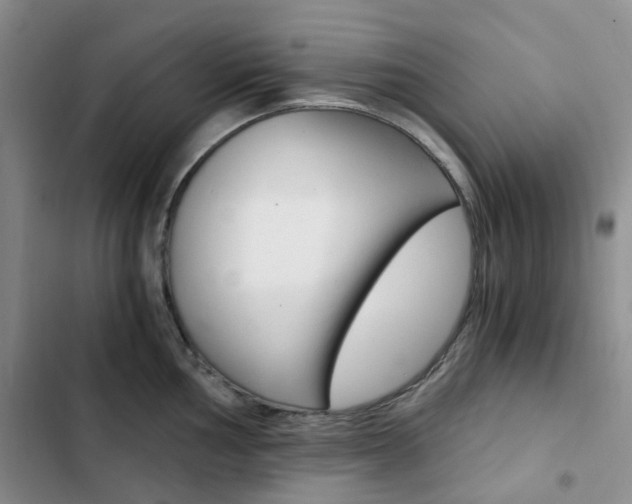 X0000103161002200808221147