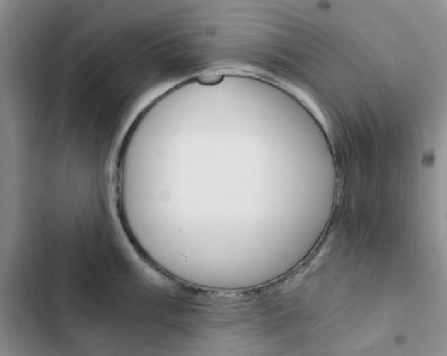 X0000103161003200808221147