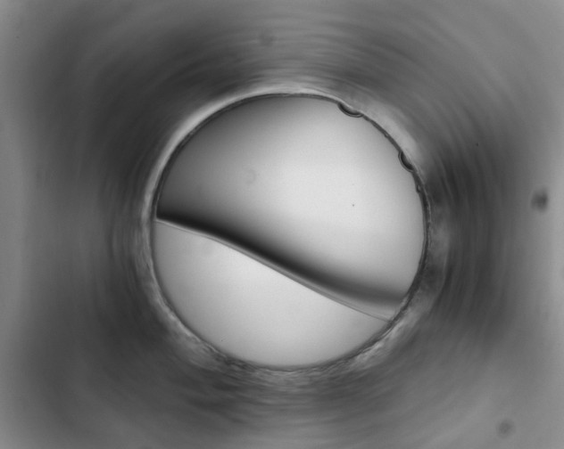 X0000103161004200808221147