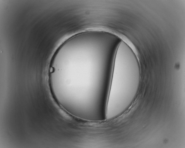 X0000103161005200808221147