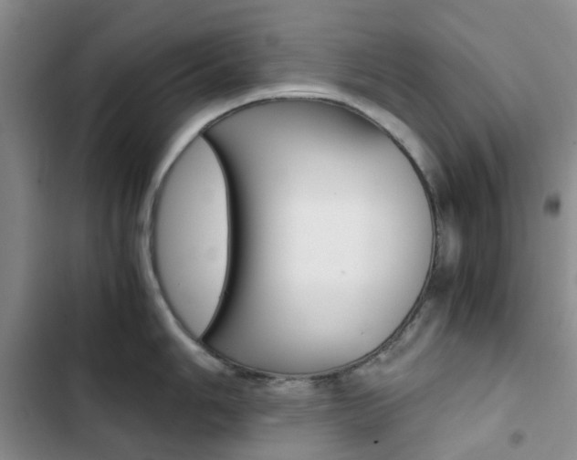 X0000103161006200808221147