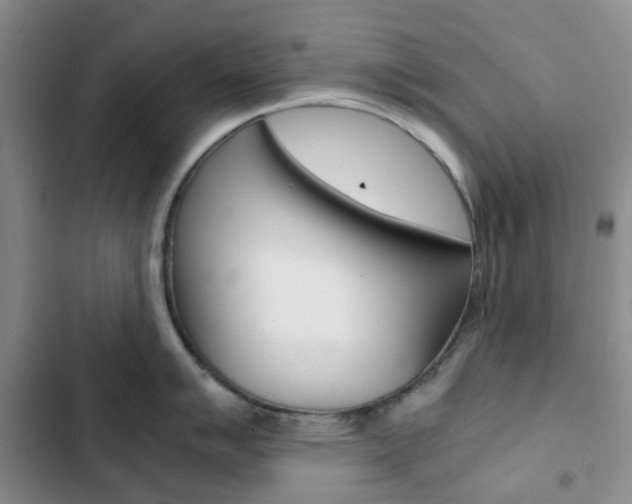 X0000103161007200808221147