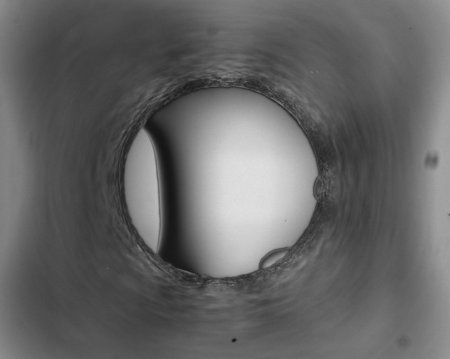 X0000103161009200808221146