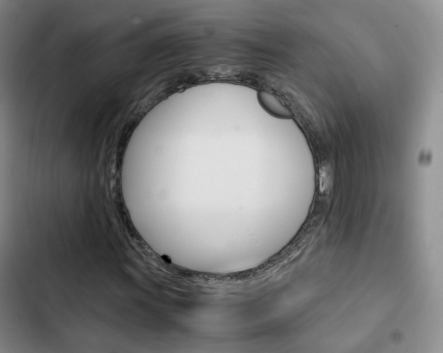 X0000103161011200808221146