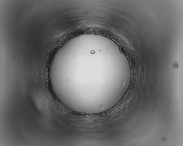 X0000103161013200808221146
