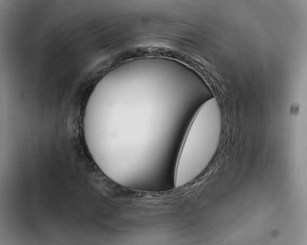 X0000103161014200808221146