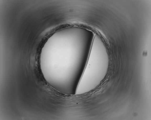 X0000103161016200808221147