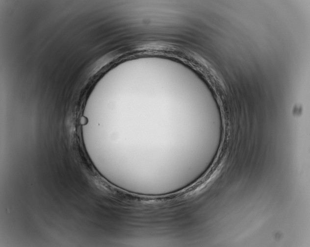 X0000103161017200808221147