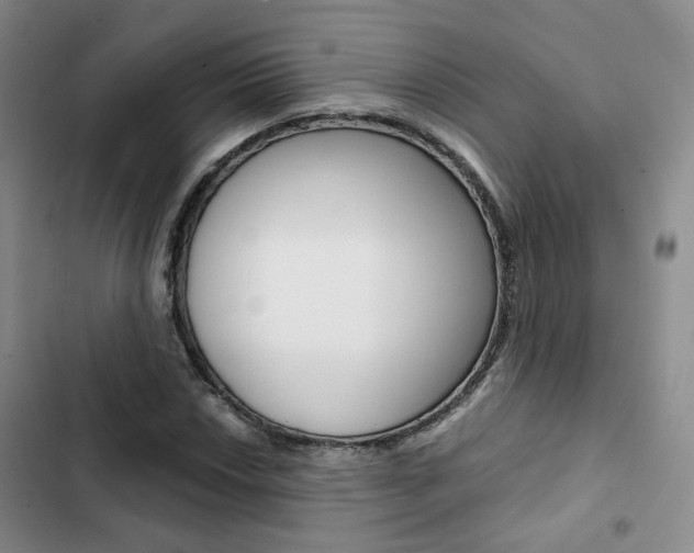 X0000103161018200808221147