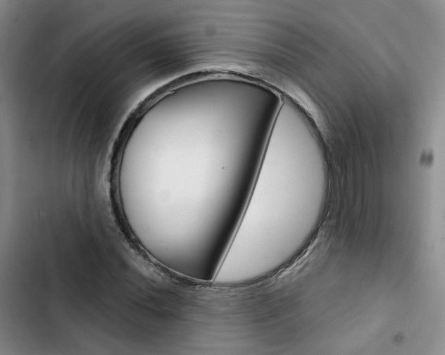 X0000103161020200808221147
