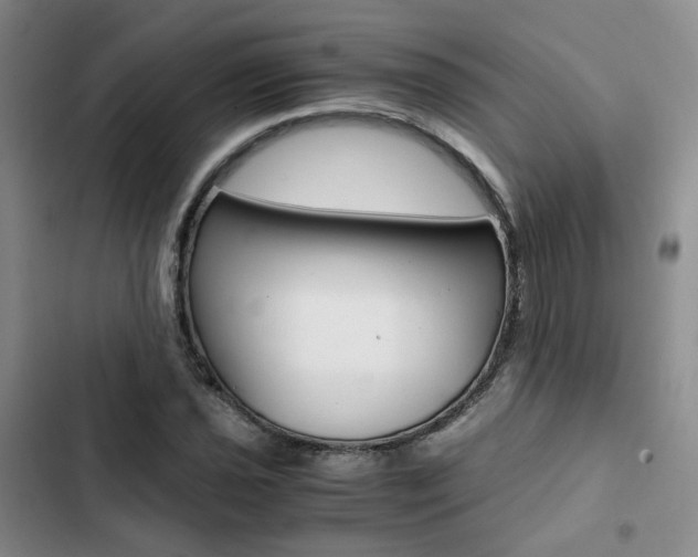 X0000103161021200808221147