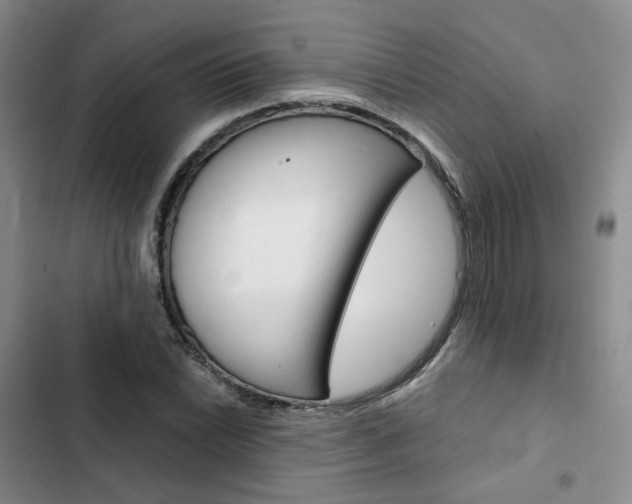 X0000103161022200808221147