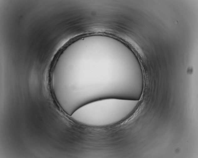 X0000103161023200808221147