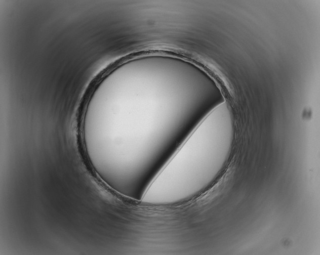 X0000103161024200808221147