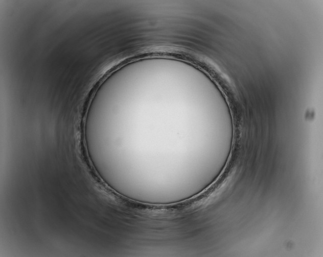 X0000103161025200808221147