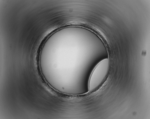 X0000103161026200808221147