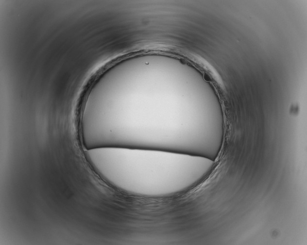 X0000103161027200808221147