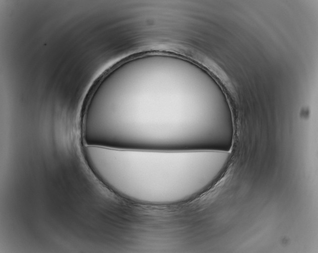 X0000103161028200808221147