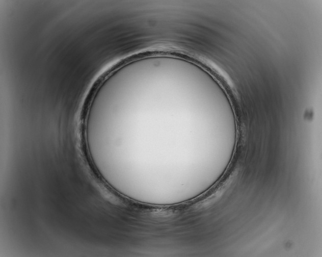 X0000103161029200808221147