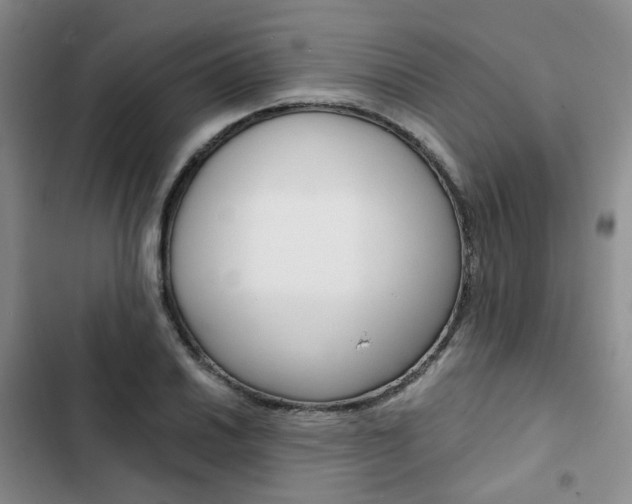 X0000103161030200808221147