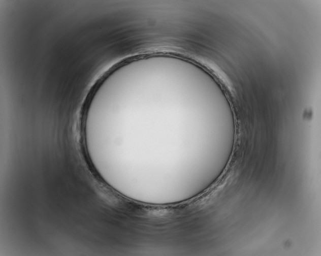 X0000103161031200808221147