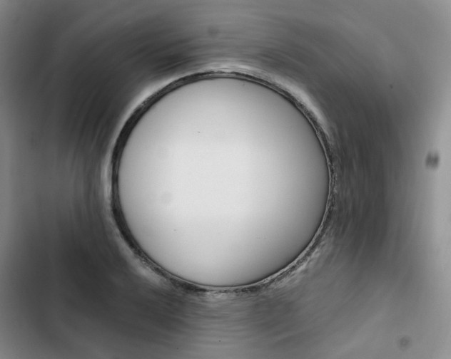 X0000103161032200808221147