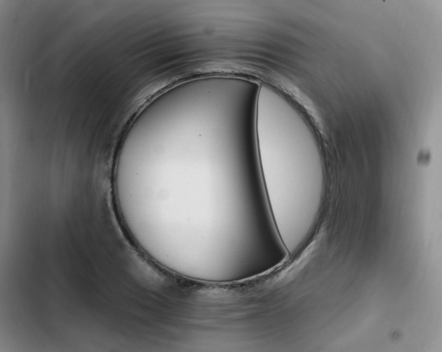 X0000103161033200808221147
