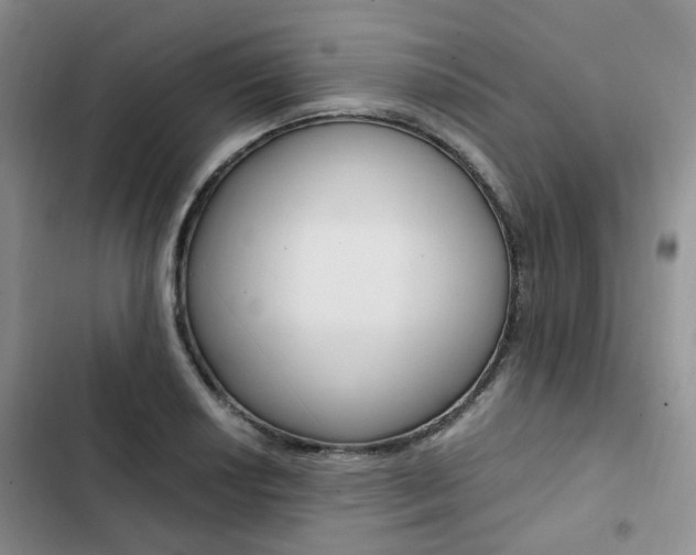 X0000103161034200808221147