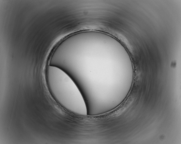 X0000103161035200808221147