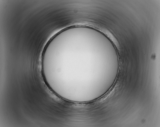 X0000103161036200808221147