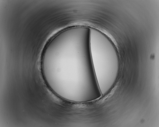 X0000103161037200808221147