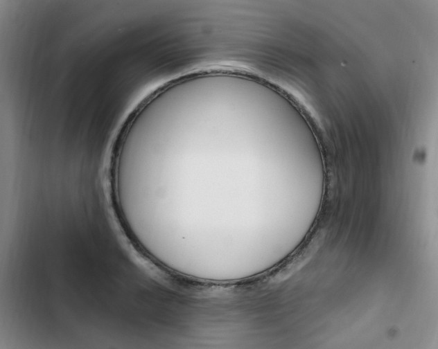 X0000103161038200808221147